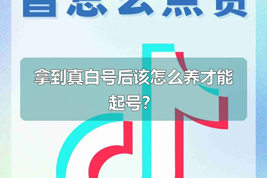 拿到真白号后该怎么养才能起号?