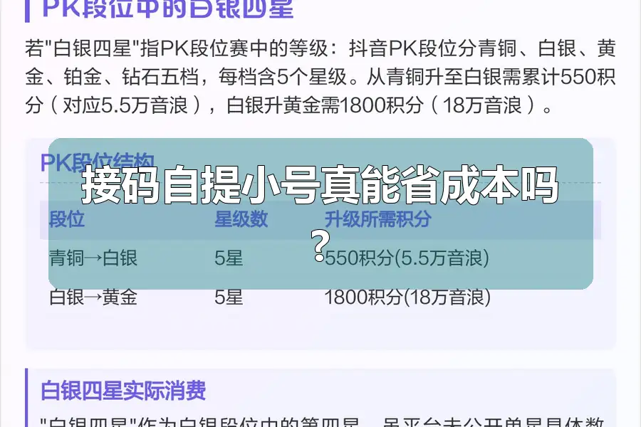 接码自提小号真能省成本吗?